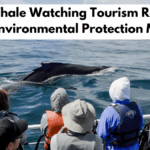 Why Whale Watching Tourism Requires Strong Environmental Protection Measures