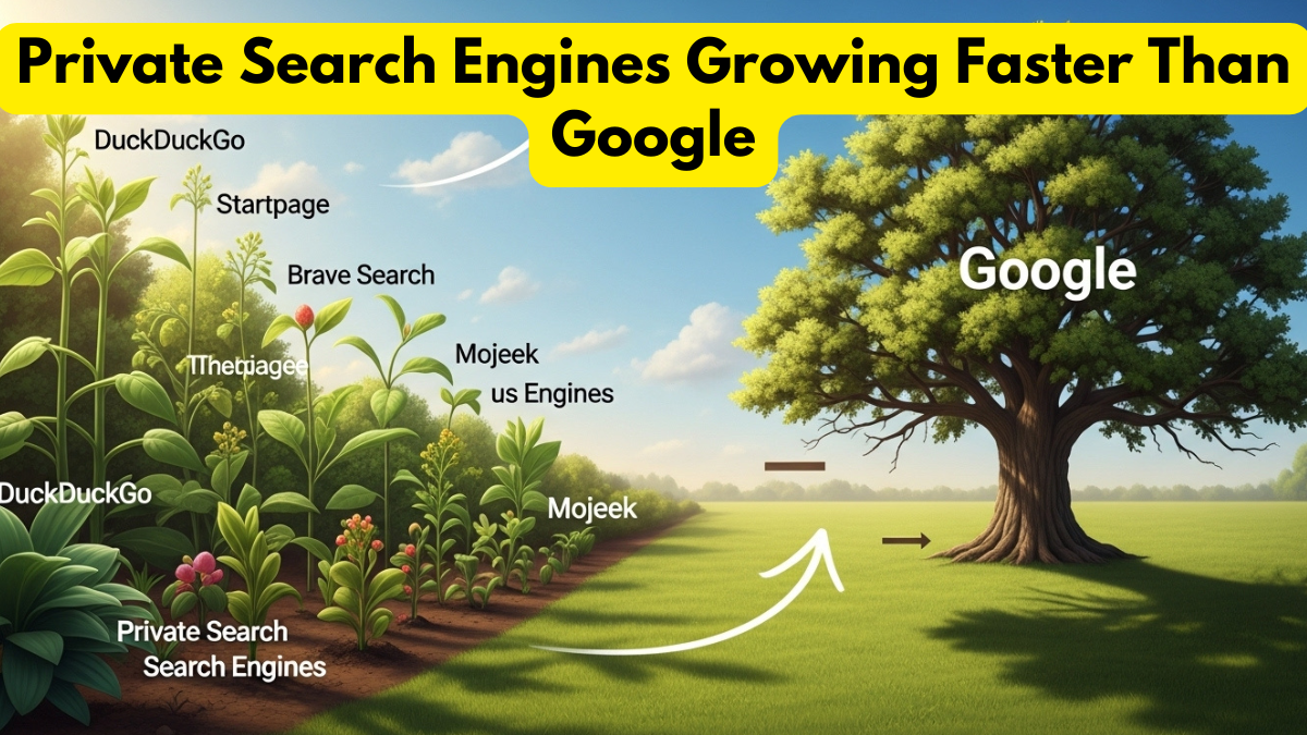 Private Search Engines Growing Faster Than Google